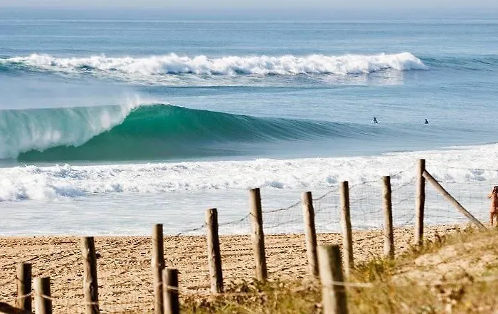 A Cote Du Avec Terrasse Soorts-Hossegor