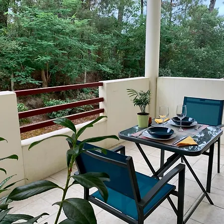 A Cote Du Avec Terrasse * Soorts-Hossegor