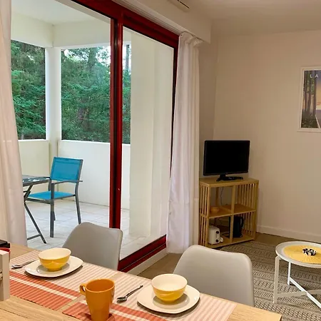 A Cote Du Avec Terrasse * Soorts-Hossegor