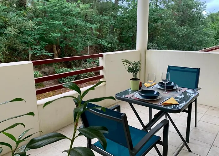 A Cote Du Avec Terrasse * Soorts-Hossegor