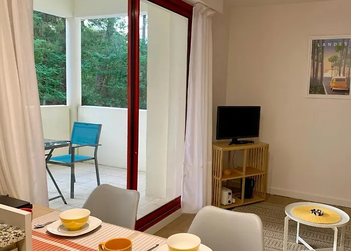 A Cote Du Avec Terrasse * Soorts-Hossegor